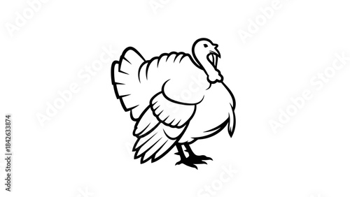 Black and White Art Illustration of a Standing Turkey with Fluffed Feathers
