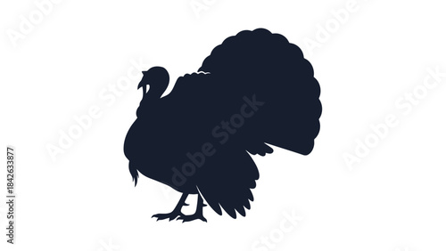 Silhouette of a Proud Turkey with Elaborate Fanned Tail Feathers, Isolated