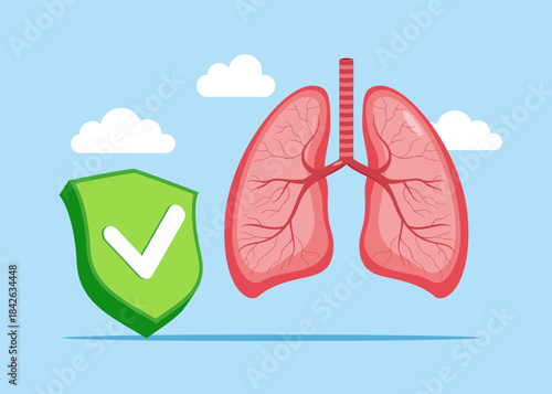Human lungs with green check mark. Respiratory system in normal. Anatomy, medicine concept. Healthcare. Vector illustration. 