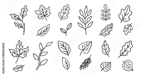 Cozy autumn doodle set of autumn leaves, line art monochrome hand drawn outline