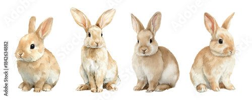 Watercolor rabbit set with cute bunny illustrations. Easter animals, baby hares, and spring characters. Perfect for nursery designs, greeting cards, and farmyard clipart collections.
