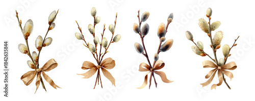 Watercolor set of willow bouquets with a bow. Spring willow branches with fluffy tips and decorated with a bow. Natural decor elements for spring and Easter designs.