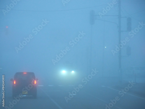 朝の濃霧の天気の中で道路で走る車の様子