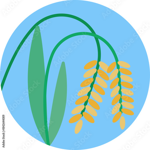 A rice plant with grains, highlighting Vietnam’s agricultural tradition.