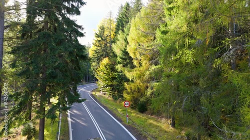 Winding road through trees with changing speed limit signs