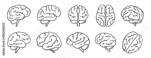 brain icon doodle hand drawn set. Outline drawing brain line clipart symbol collection
