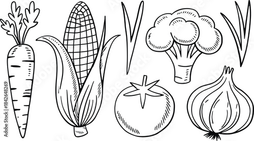 Hand Drawn Vegetable Set, Isolated Sketch Style Carrot, Corn, Broccoli, Tomato, and Onion, Vector Illustration