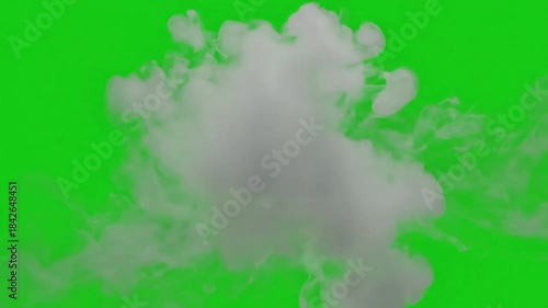 Wallpaper Mural Gentle forest ambiance with subtle fog texture with soft fog pulse with gentle effect ad_ready green screen fog layers style Torontodigital.ca