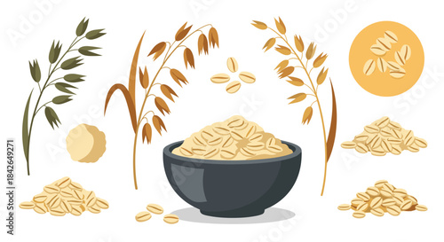 A detailed set of oat illustrations including plant stalks raw grains and a bowl of healthy oatmeal for breakfast concepts.