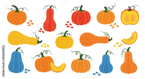 A colorful autumn collection of various types of pumpkins and gourds in different shapes and sizes for Thanksgiving.