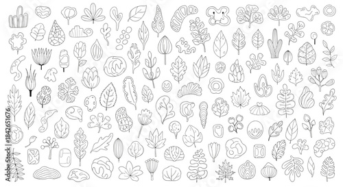 A massive collection of various hand-drawn leaves and plant elements in a simple black and white doodle outline style.