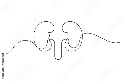 Single continuous line art illustration of a pair of human kidneys against a white background