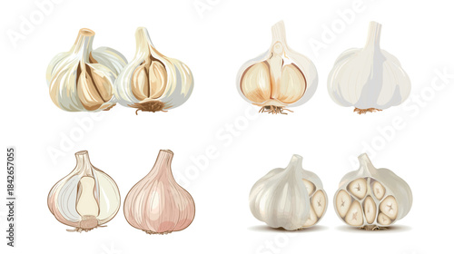 Fresh garlic head cut in half revealing cloves and texture, natural culinary ingredient isolated and detailed, healthy organic food concept for cooking, seasoning, kitchen use and nutrition themes