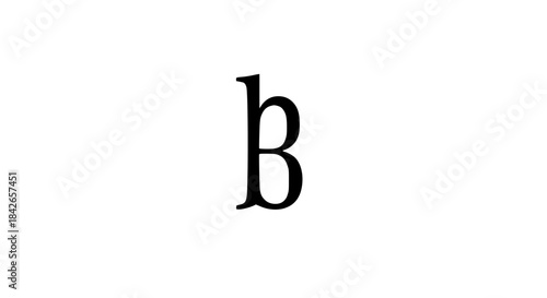 Letter b icon black white icon thin style 