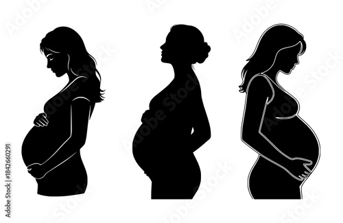 Stages of Pregnancy: Silhouette Series