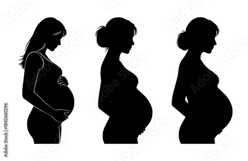 Pregnant Women Silhouette Progression