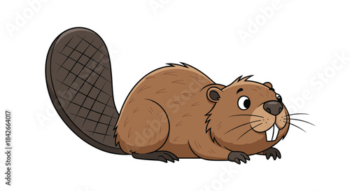 Cute cartoon beaver with large front teeth and paddle tail lying down on white background.