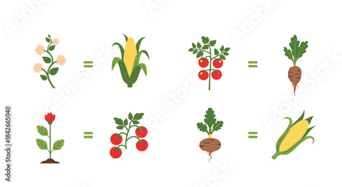 Educational puzzle or matching game for kids with various plants like flowers corn and tomatoes paired with different vegetables.