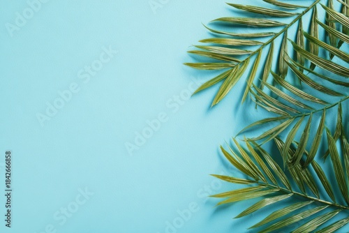 Overhead shot of green palm fronds partially covering a light blue background