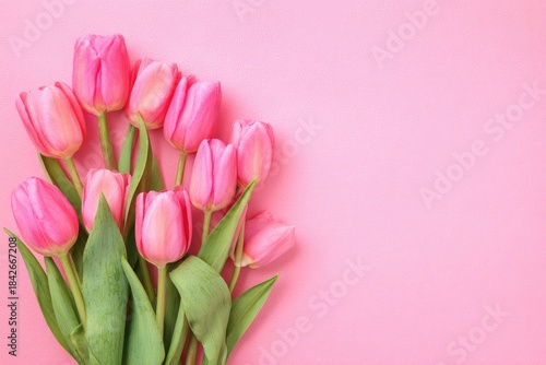 A bouquet of vibrant pink tulips against a solid pink backdrop, with copy space