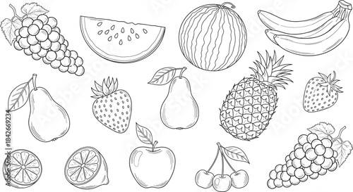 Hand-Drawn Fresh Fruit Vector Outline Collection Including Banana, Watermelon, Pineapple, Berries, Grapes, and Citrus for Healthy Food Design.
