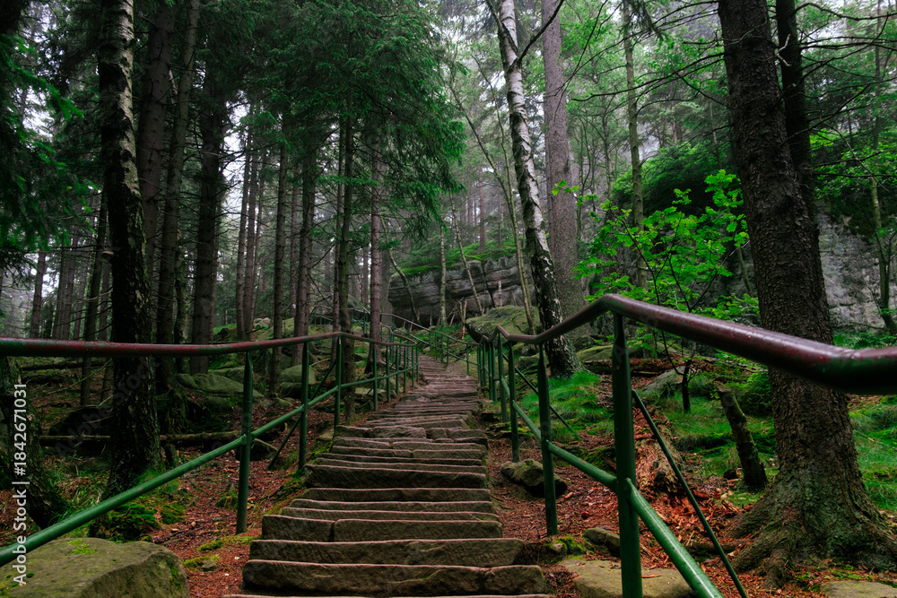 Fototapeta premium Stairs with a railing on a mountain hiking trail. Stolowe Mountains in Poland, trail to Szczeliniec Wielki.