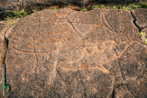 Foto Papa Mango rock at the Papa Vaka archaeological site, Rapa Nui (Easter Island), Chile