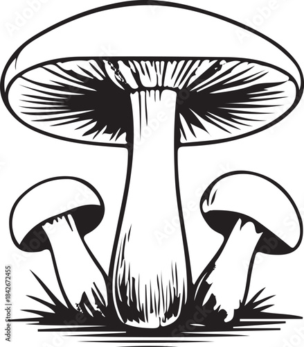 Mushroom Hand-Drawn Collection. Detailed black and white sketch of a mushroom with intricate lines and shading. Vector illustration.