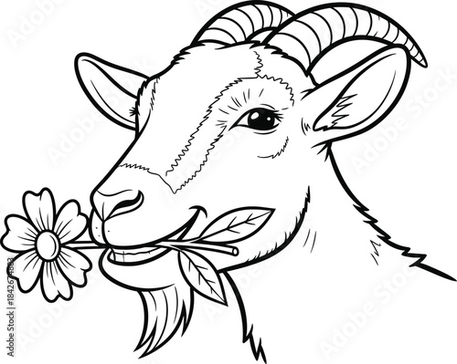 Black and white goat head with flower nature illustration