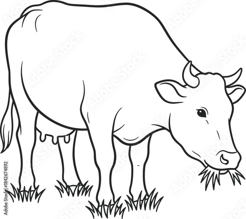 Black and white cow grazing on grass in a field