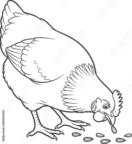 Chicken Pecking Corn  Farm Animal Coloring Page