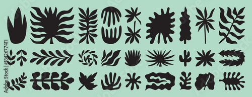 tropic shapes organic plant leaves form set. Exotic plants different modern nature floral shapes. Summer botanical boho silhouette. 