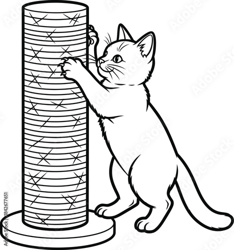 Curious Kitten Playing with Scratching Post Toy at Home