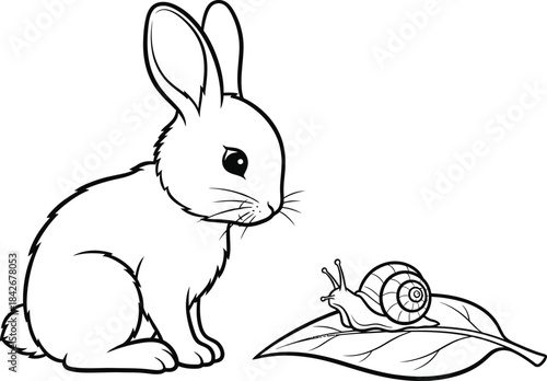 Curious Rabbit and Snail on Leaf Nature Illustration
