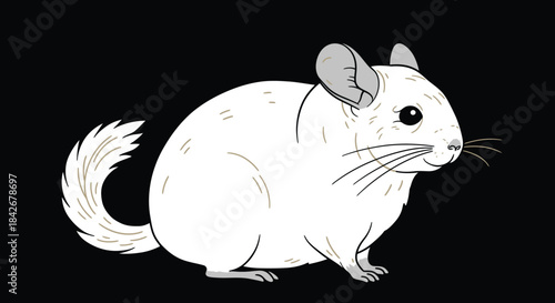 Charming Cartoon White Chinchilla with Fluffy Tail and Expressive Face