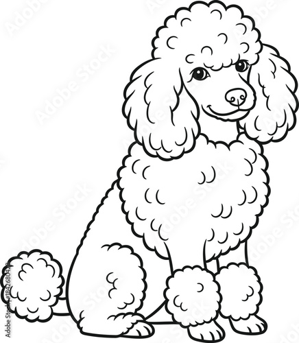 Cute Poodle Dog Coloring Page for Kids and Adults