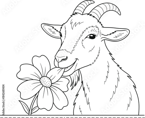 Goat Eating Flower Line Art Illustration for Coloring Book