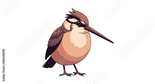 Detailed cartoon illustration of a round brown bird with a very long beak and sharp eyes standing alert on a clean white background.