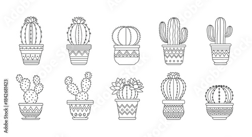 Set of ten unique cactus plants in decorative patterned pots shown in minimalist black and white line drawings on a white background.