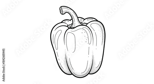 Detailed black and white line art of a single bell pepper vegetable with fine stippling and texture shown on a plain white background.