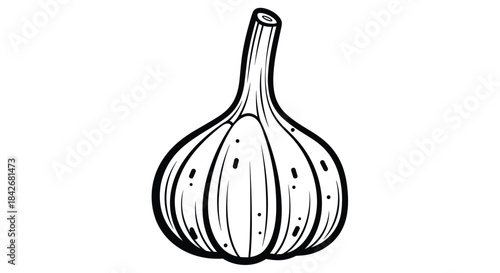 Simple black and white line drawing of a garlic bulb with textured skin and a short stem isolated on a plain and clean white background.