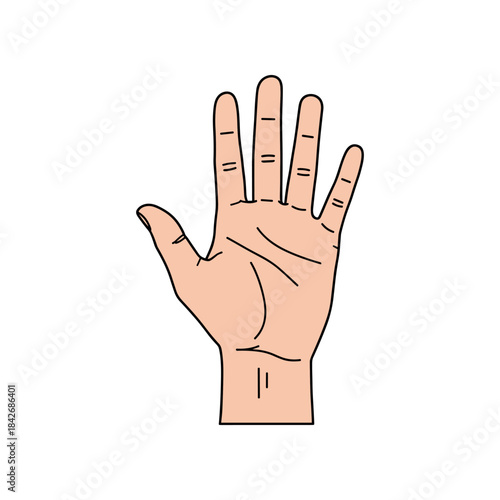Simple cartoon illustration of an open human hand with all five fingers extended.