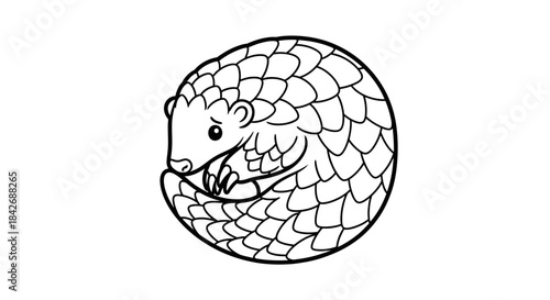 Pangolin curled up in a ball illustration