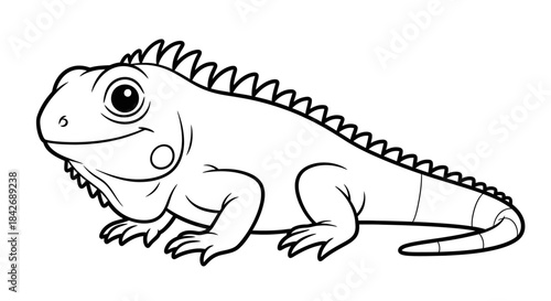 Black and White Iguana Line Art