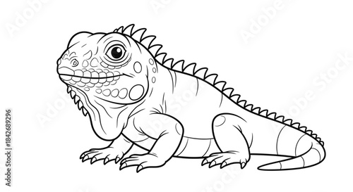 Detailed line drawing of an iguana