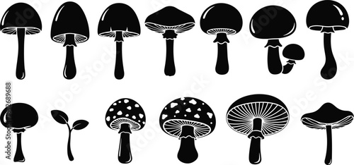 Set of Wild Mushroom Silhouettes and Toadstools in Various Shapes and Styles, Including Fly Agaric and Gilled Varieties, Representing Fungi, Foraging, Nature, and Botanical Elements.