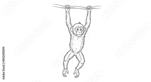 Monkey Hanging from a Rope