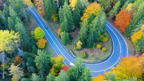 Driving on a winding road surrounded by trees in autumn with colorful leaves