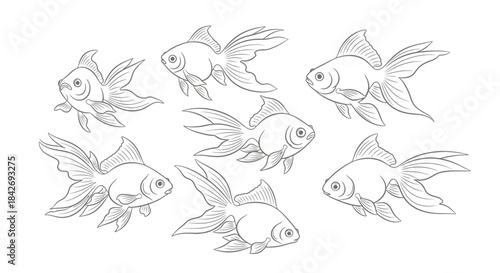 Illustration of Goldfish Swimming