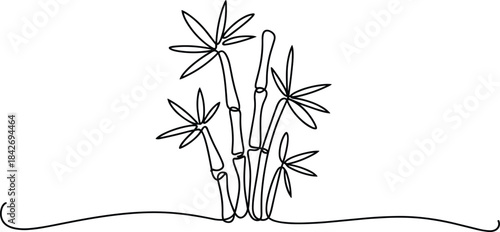 Black and white bamboo plant with flowers line nature